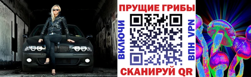 Псилоцибиновые грибы Psilocybine cubensis  мориарти состав  Пласт 